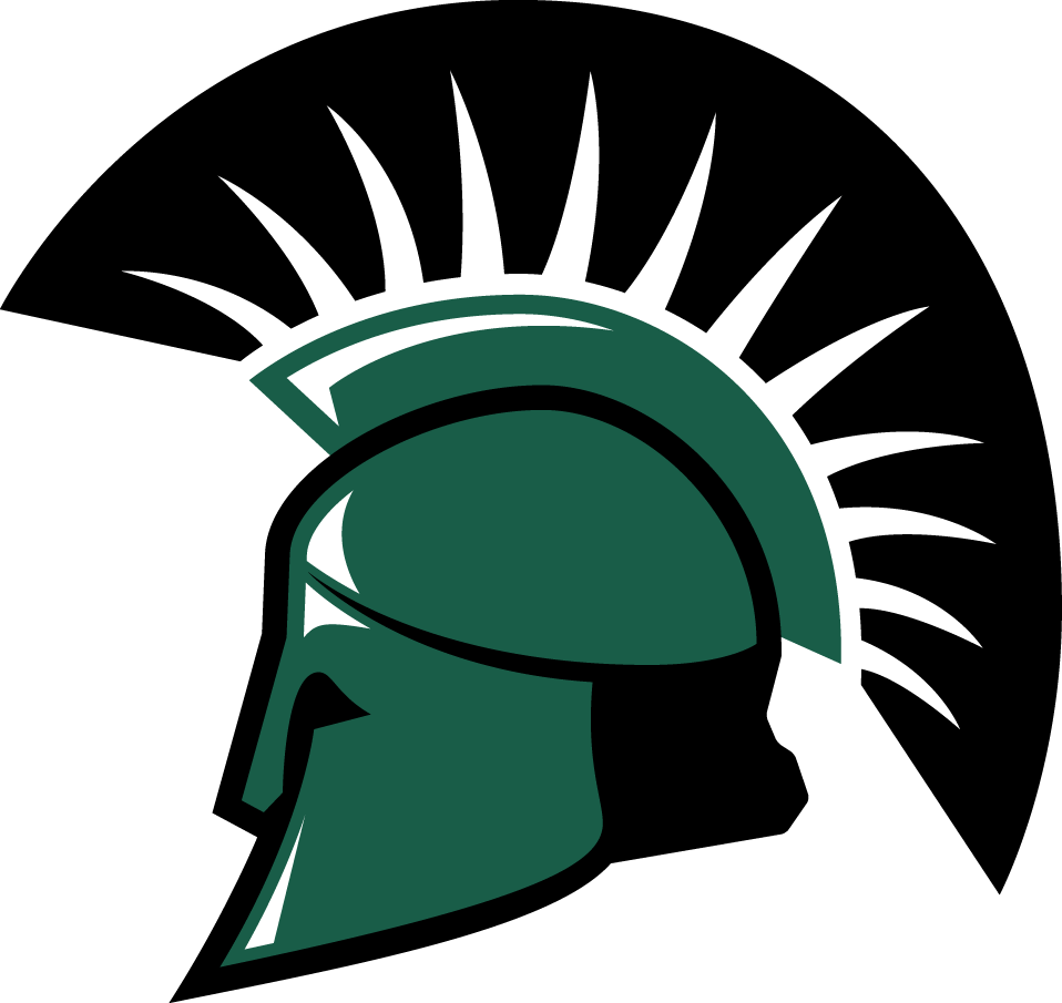 USC Upstate Spartans 2009-2010 Primary Logo iron on transfers for T-shirts
